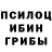 Псилоцибиновые грибы Magic Shrooms Halyna Bidyuk