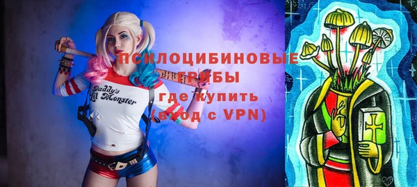 молекула духа Балахна