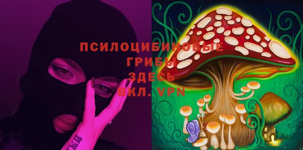 стафф Баксан