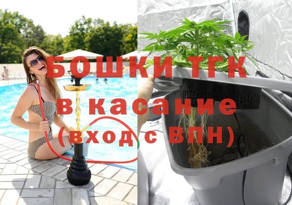 молекула духа Балахна
